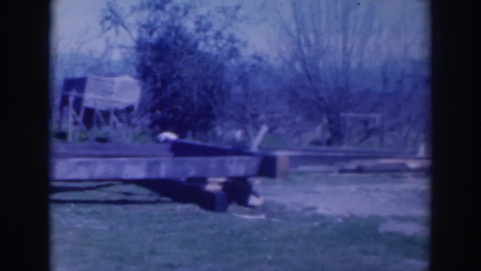 1937 Sacramento yard view with a low wooden platform, grass, shrubs, and bare trees under a blue-shifted 8mm frame.