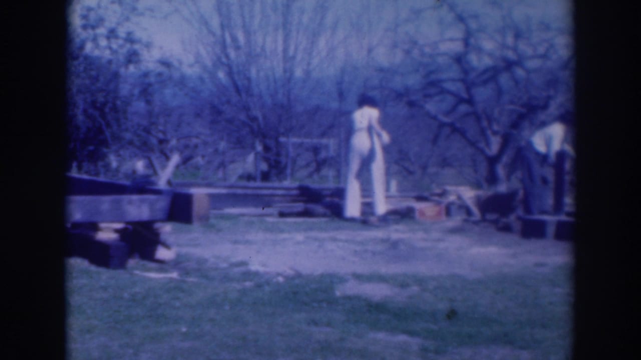 Two adults in a yard near scattered wood pieces and bare trees.