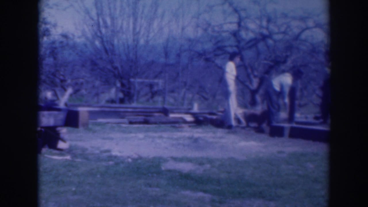 Two adults work near a cluster of wood pieces in a backyard.