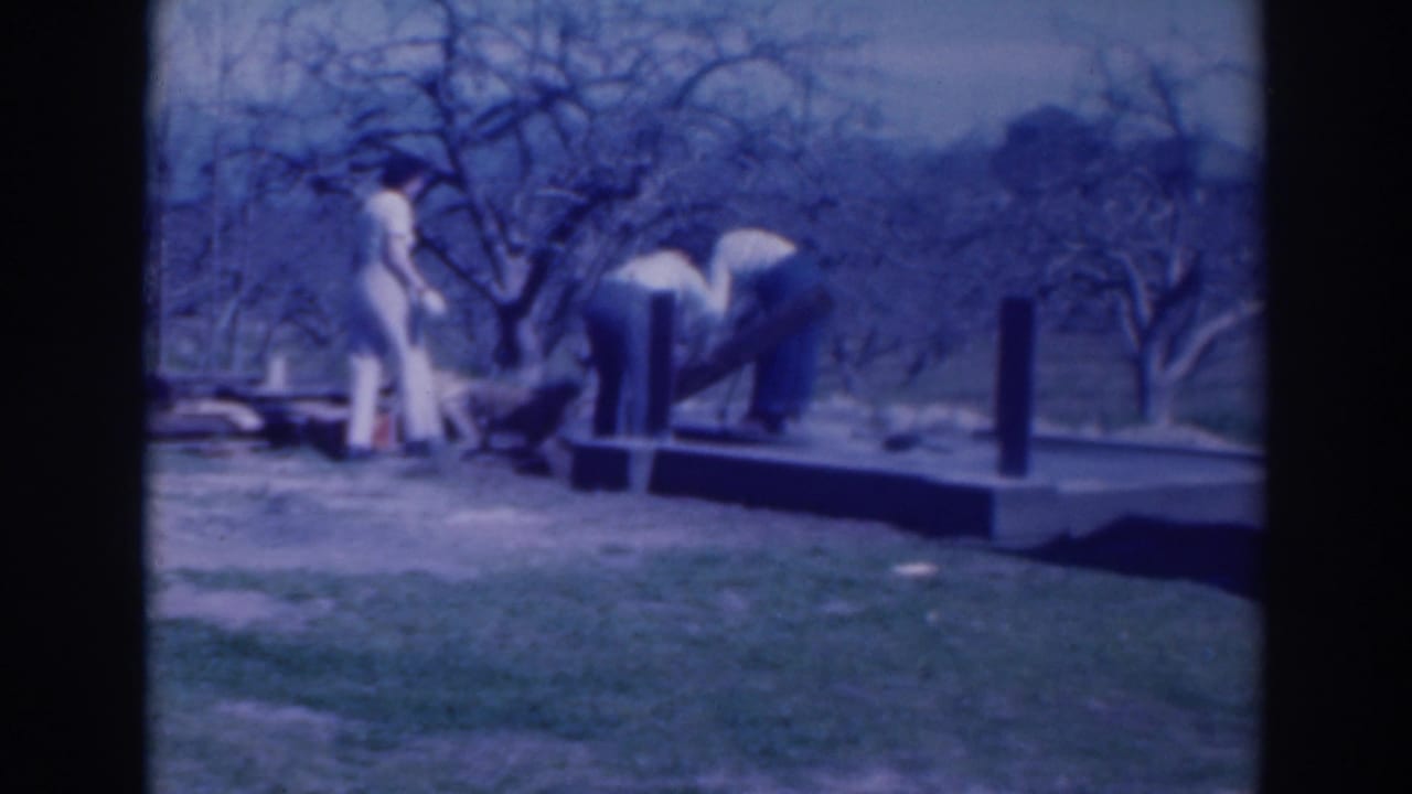 Adults in a Sacramento yard handle long materials near a small raised platform with bare trees behind them.