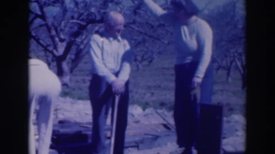 The older man remains centered with a tool in the orchard while one woman bends partly out of frame and another stands to the right.