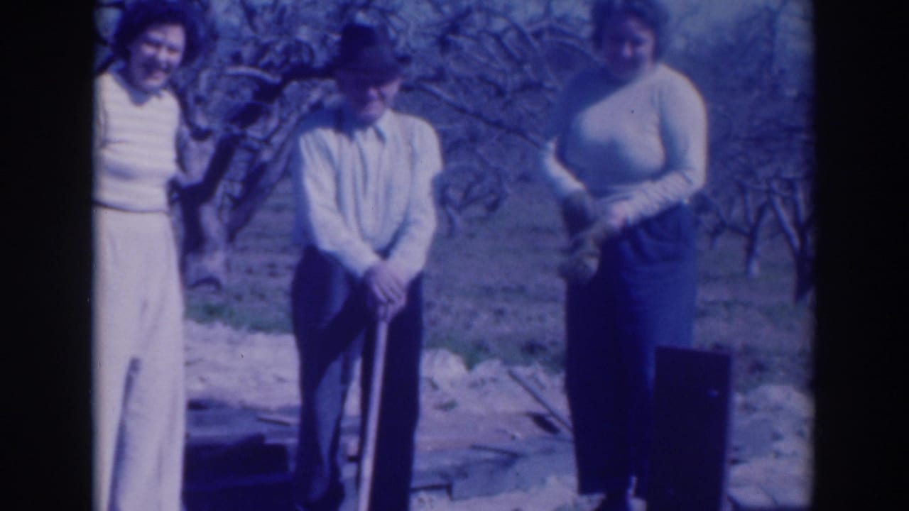 Three adults stand near a shovel in an outdoor excavation setting.