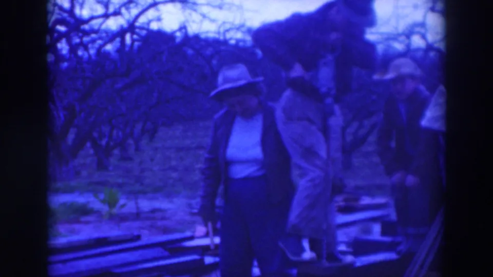 Several adults wearing hats stand among orchard-like trees in the same 1937 Sacramento home-movie clip, with figures softened by blue cast and focus.