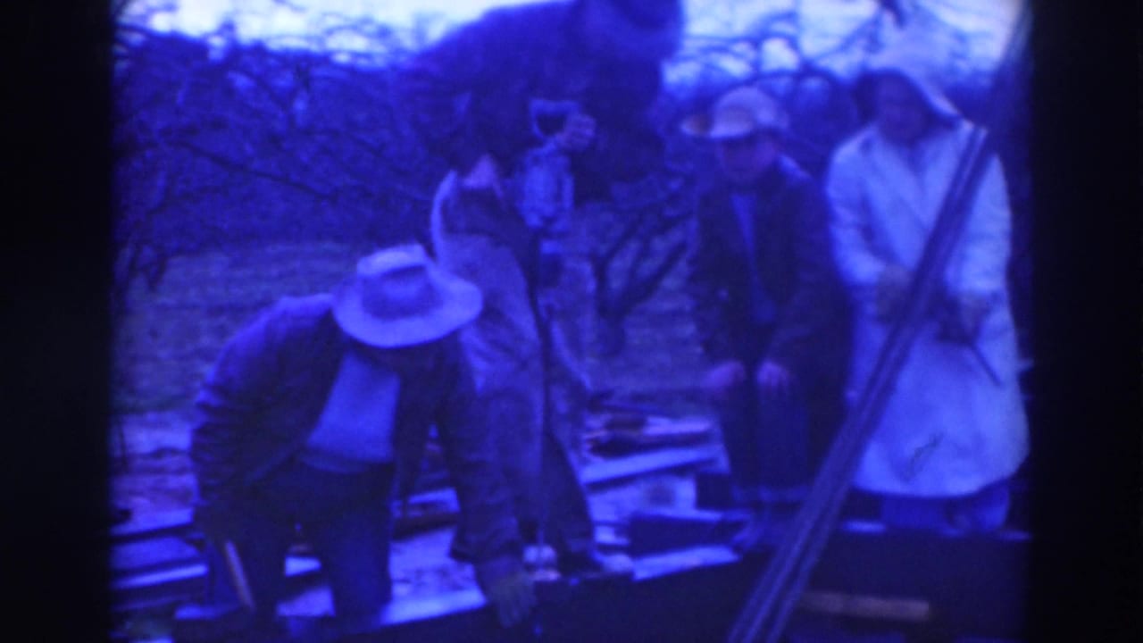 Several men in hats and coats stand around lumber outdoors under bare trees.