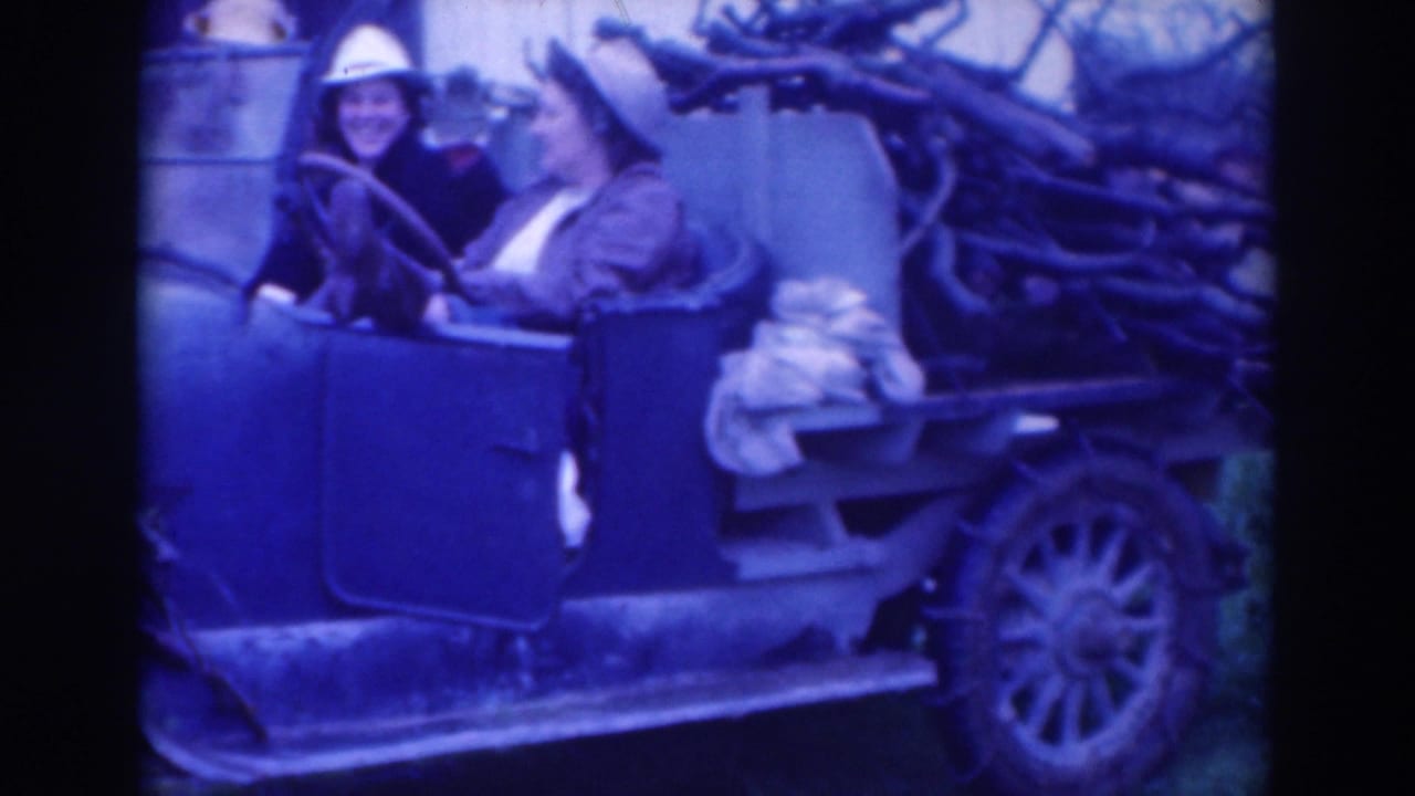 Two women sit in a blue-tinted open car beside a load of cut branches.