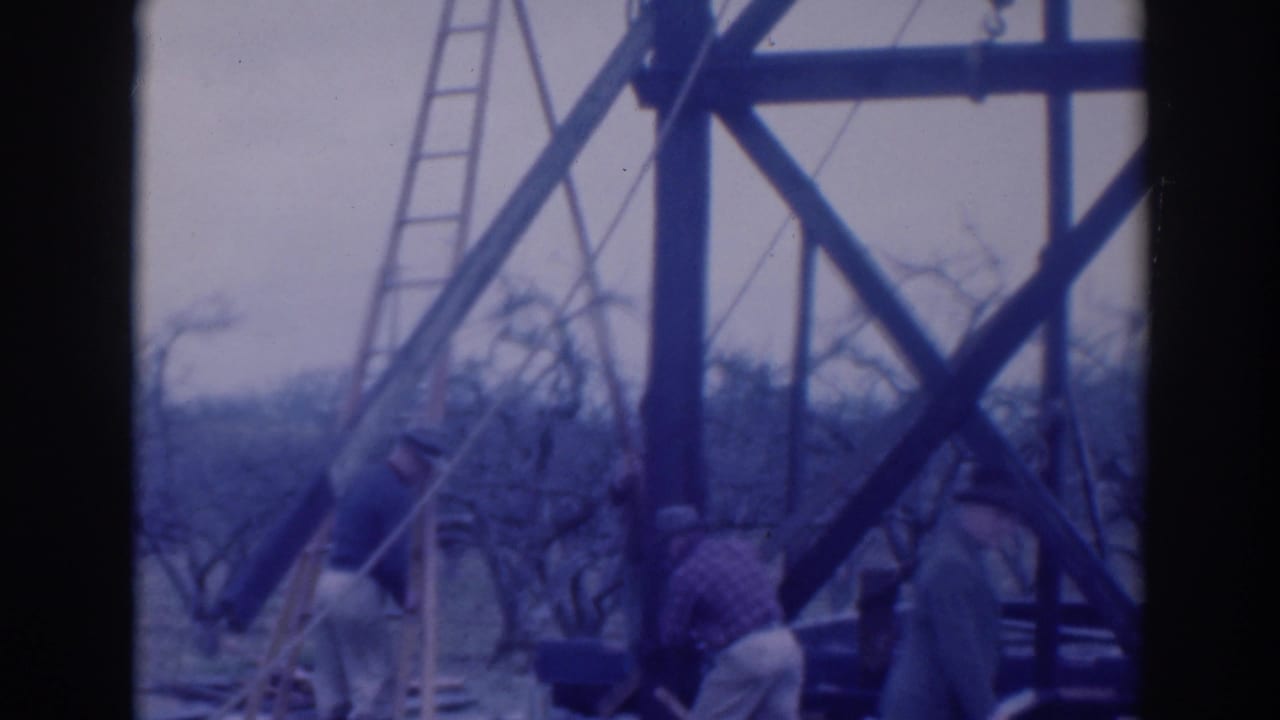 Men work beside a ladder and tall wooden support frame in an orchard setting.