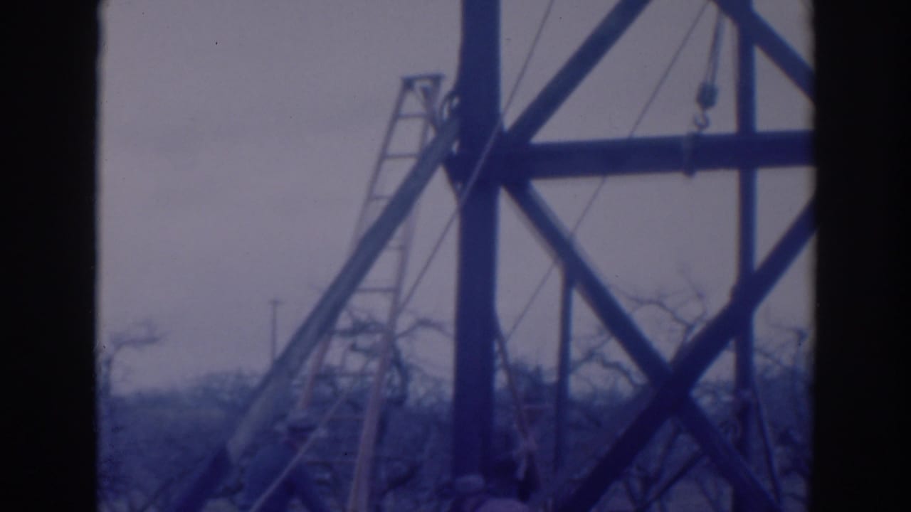 A ladder and diagonal timber supports dominate the 1937 Sacramento orchard work scene, with workers mostly out of frame.