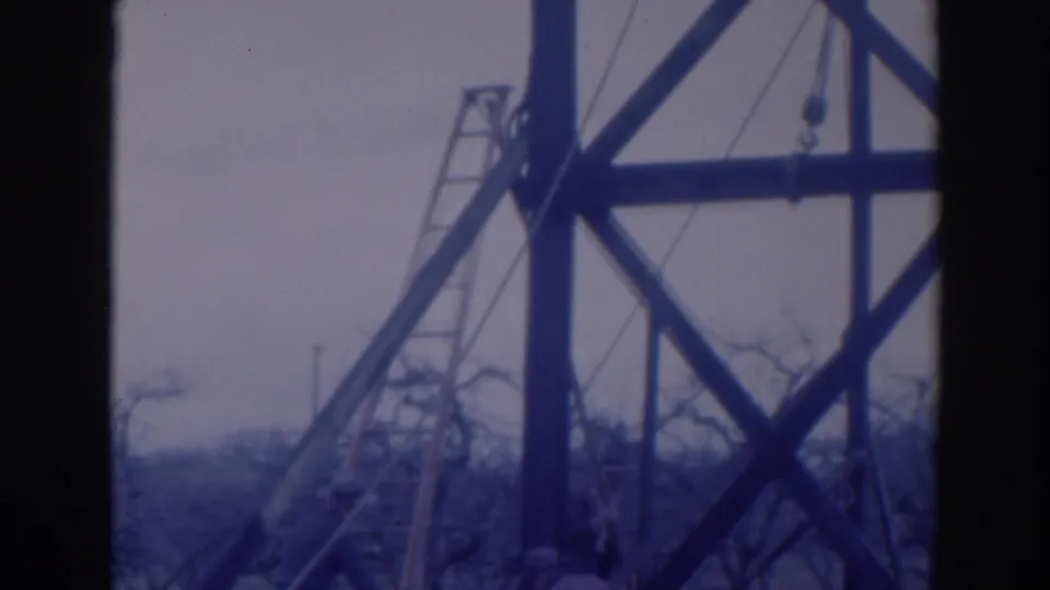 A ladder and diagonal timber supports dominate the 1937 Sacramento orchard work scene, with workers mostly out of frame.