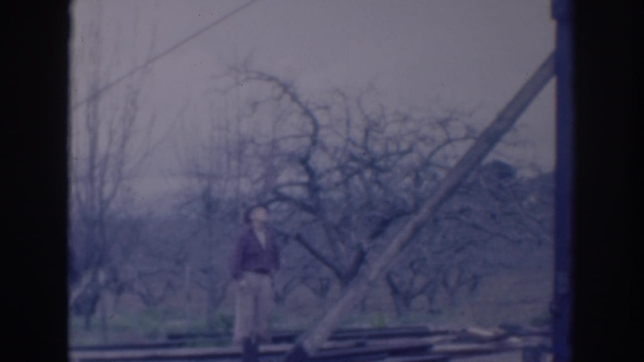 Man standing near a diagonal framework with bare trees behind him.