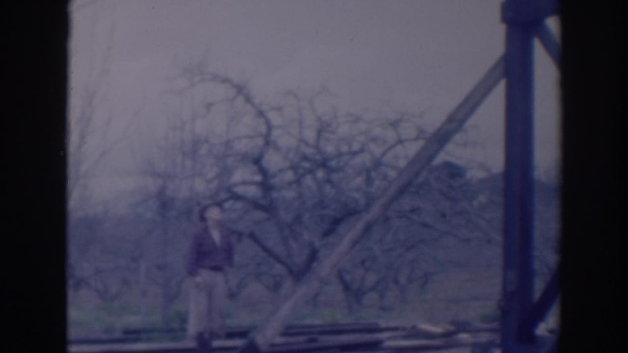 Man beside a slanted support with bare trees in the background.
