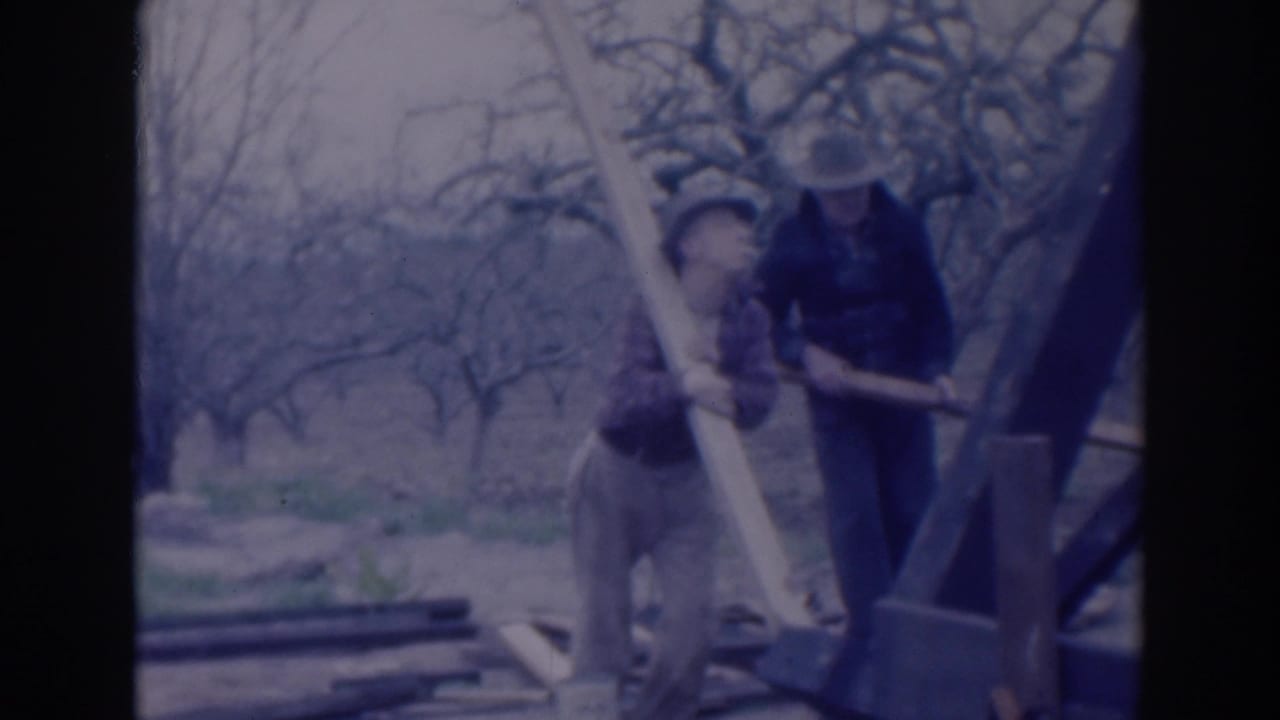 Men in hats handle a long wooden beam near bare orchard trees and scattered lumber.