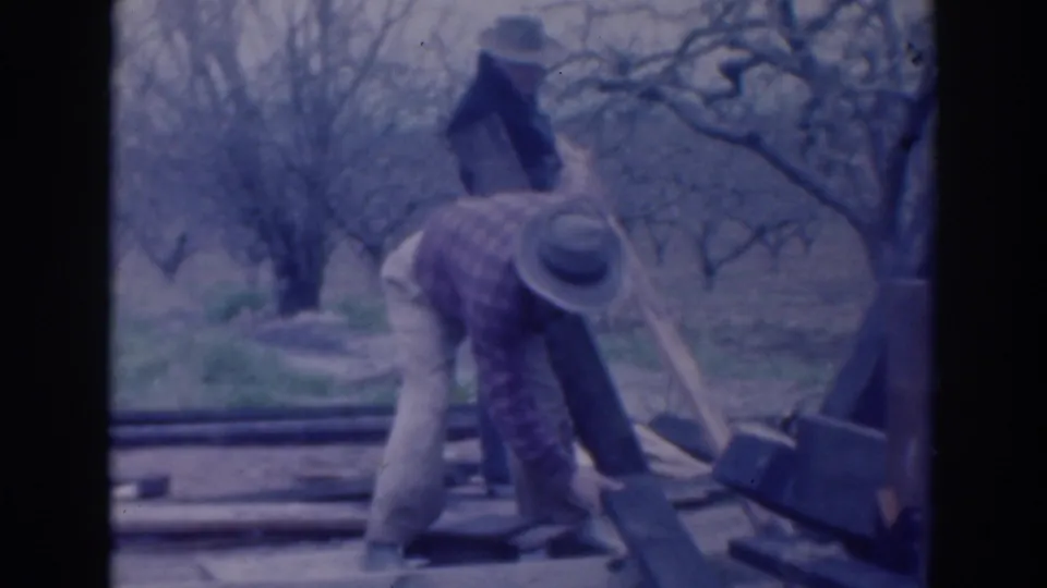 A man in a hat bends near boards and a wooden beam while another man stands nearby in the 1937 Sacramento orchard footage.