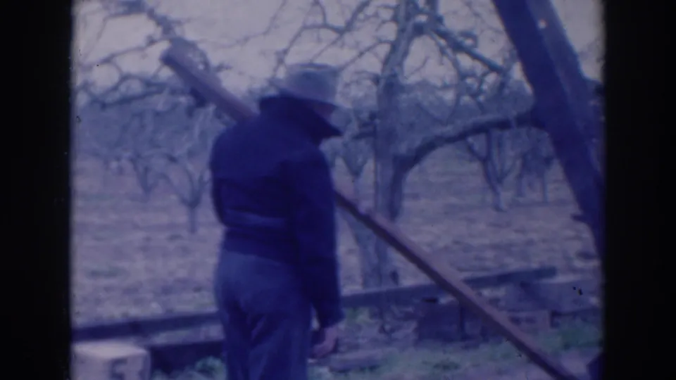 1937 Sacramento home-movie frame showing a man from behind near a diagonal wooden beam, with bare trees and outdoor ground visible.