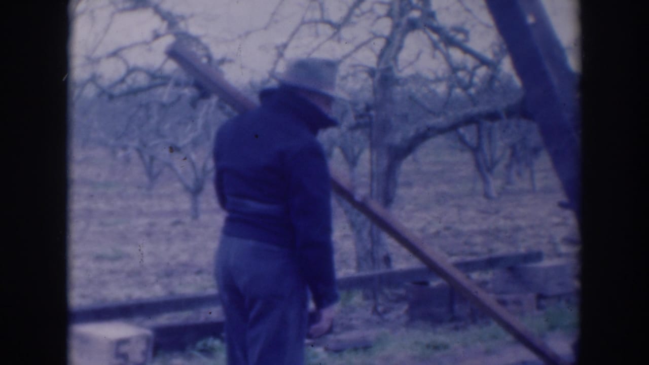 In 1937 Sacramento home-movie footage, a man in dark clothing carries a long pole across his shoulder among bare orchard trees.