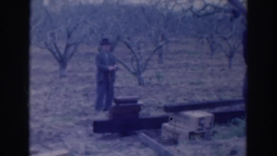 A distant view shows the man standing among orchard rows near stacked wooden crates and a dark foreground object in the 1937 Sacramento footage.