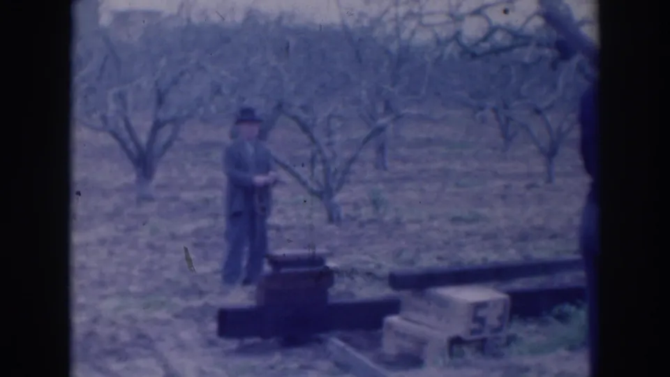 Near the end of the clip, the man stands by wooden crates in a bare Sacramento orchard, framed by soft blue-tinted 8mm film.