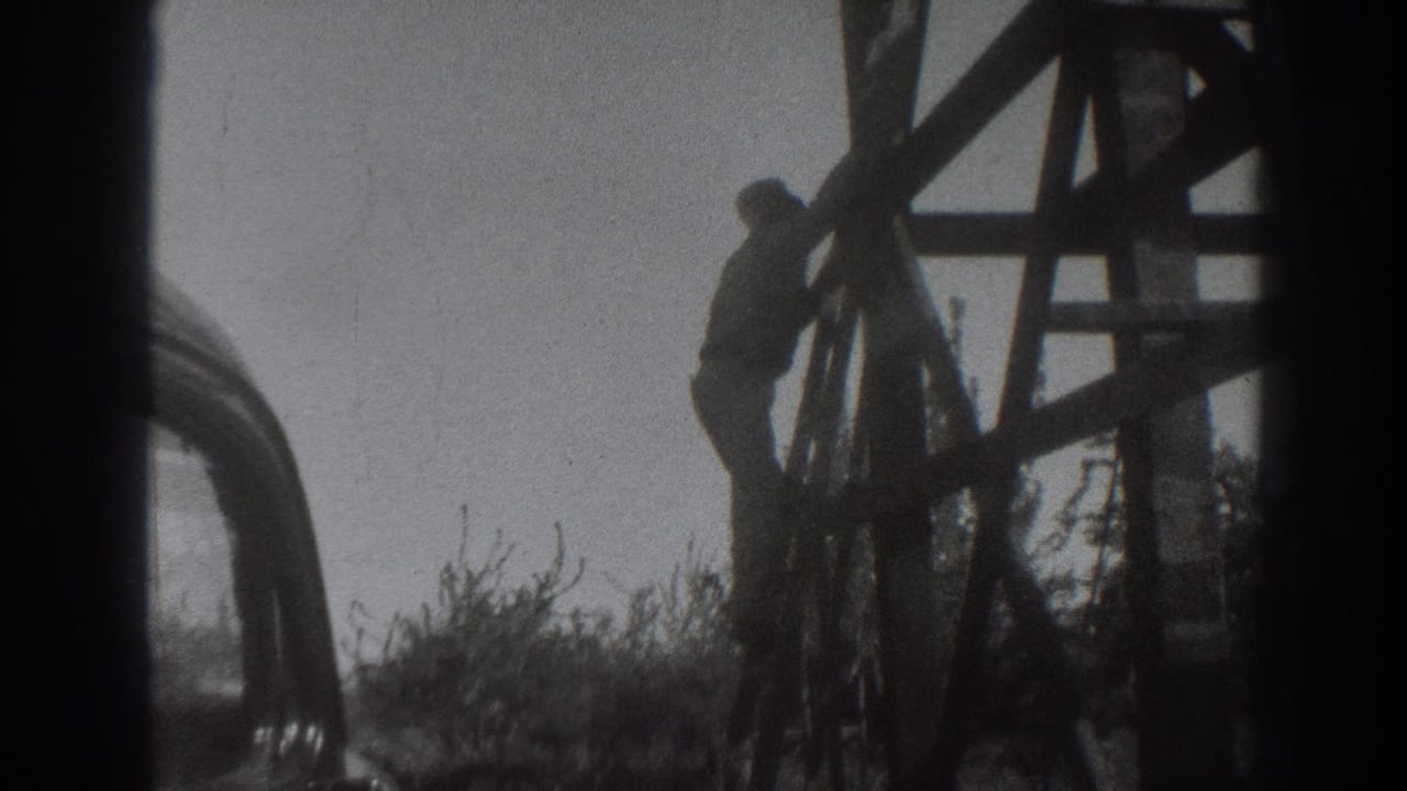 Man partway down a tall wooden structure beside a rounded car and shrubs.
