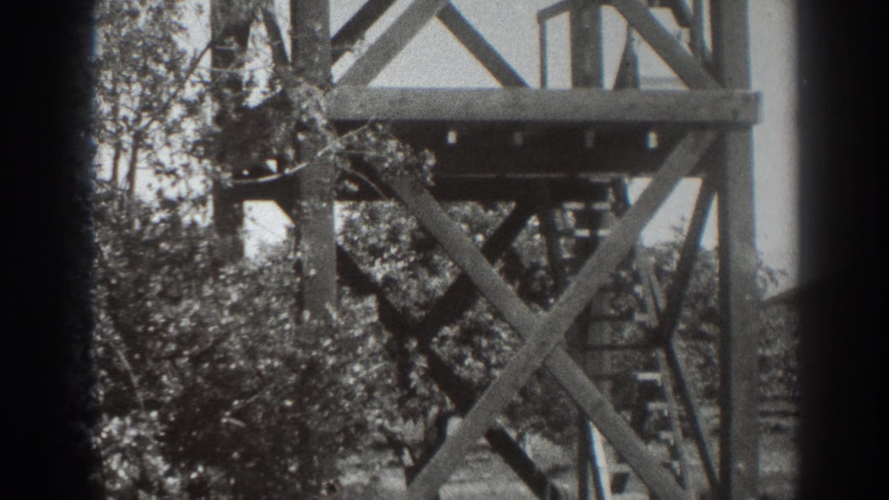 Wooden observation tower with cross braces and trees behind it.