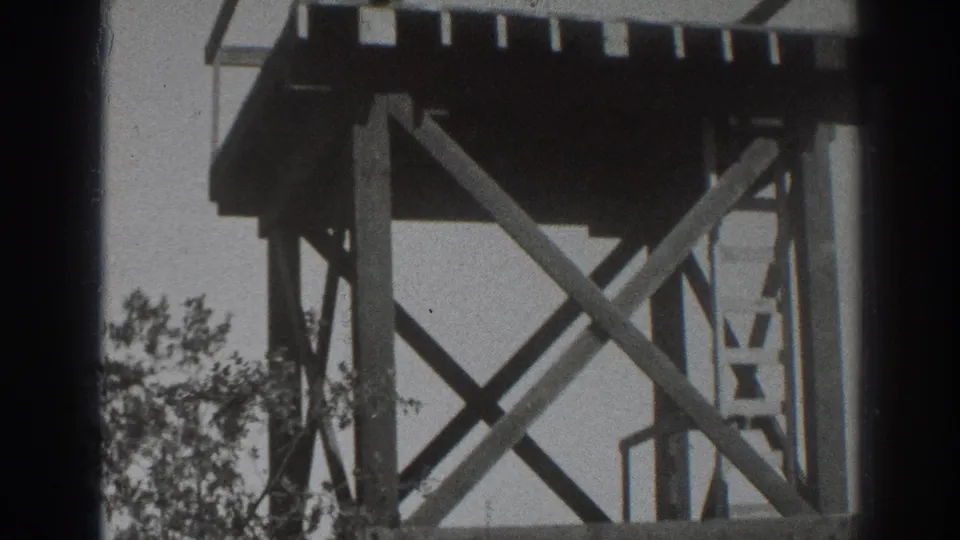 A low upward view shows the underside of the wooden observation platform, diagonal braces, ladder elements, and nearby trees in Sacramento.
