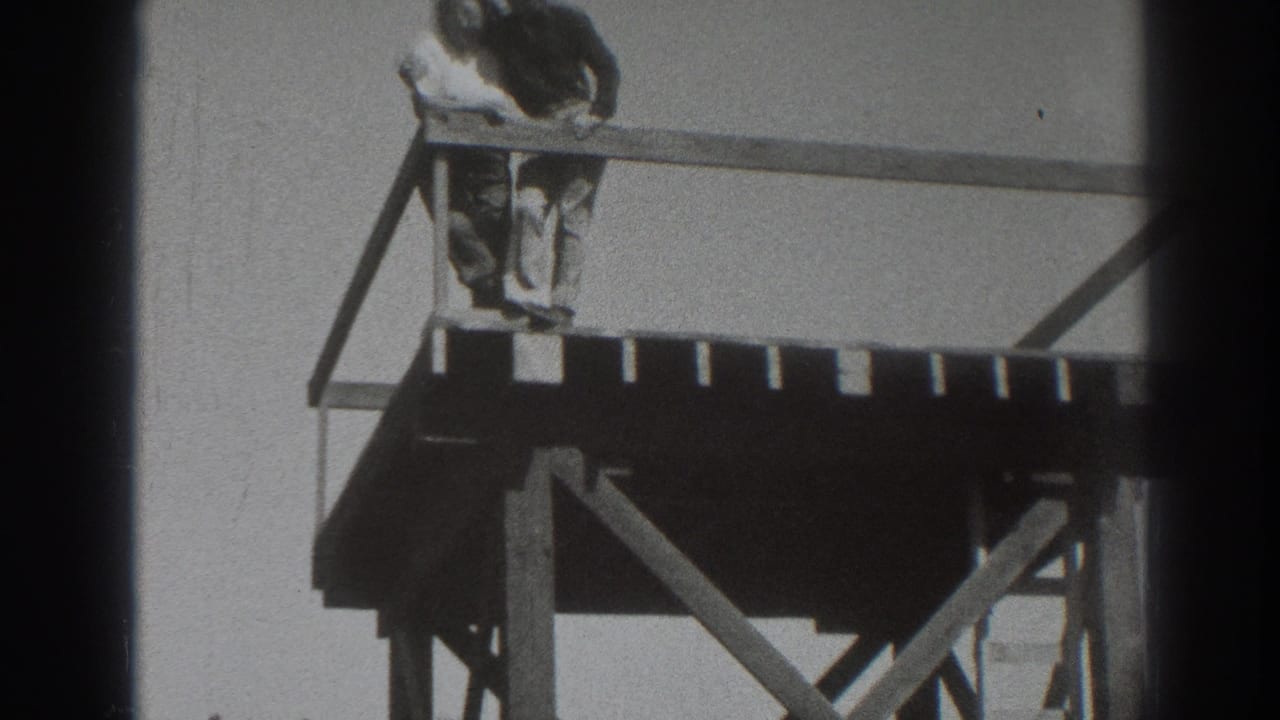 Two adults lean on a wooden observation platform railing against a pale sky.