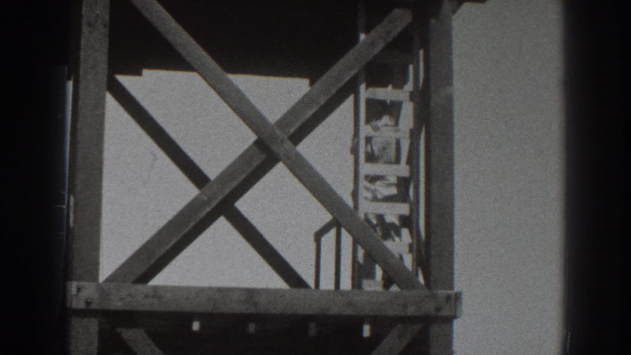 Man on a ladder within wooden scaffolding and diagonal cross braces.