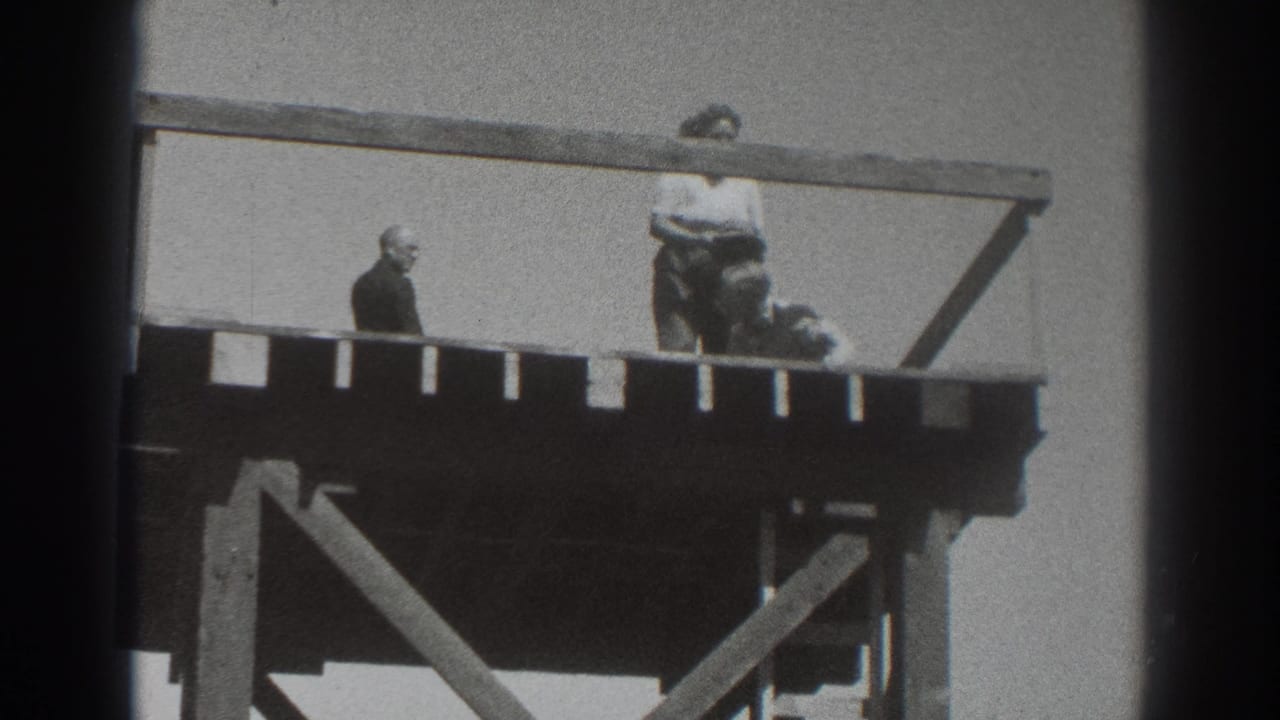 Two people on a wooden observation platform with open railings and support beams.