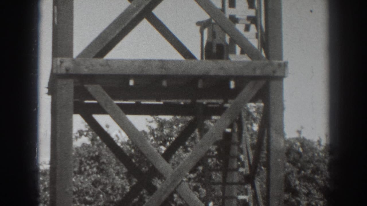 Wooden cross-braced tower with ladder and trees behind it.