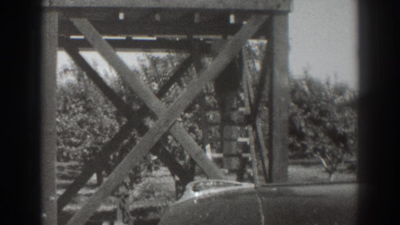 Wooden stair structure with crossed supports, orchard trees, and a rounded car hood in the foreground.