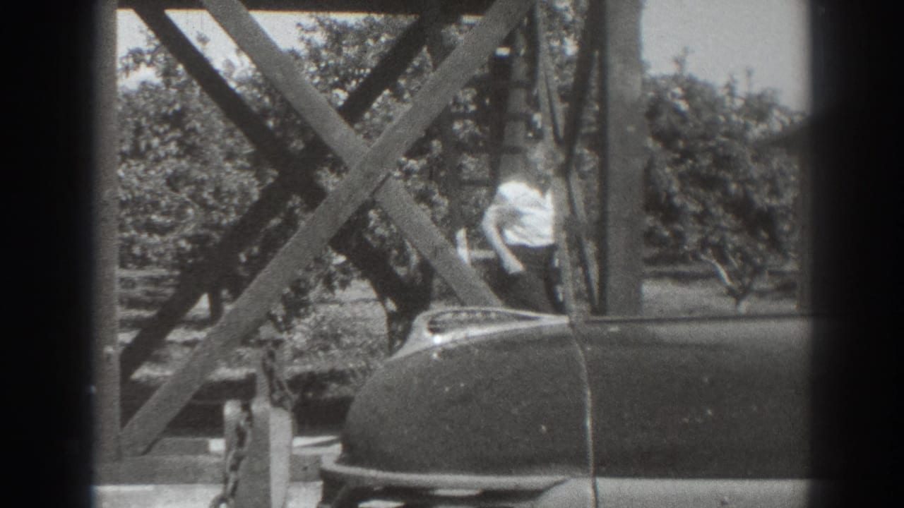 Woman near a rounded car under wood cross-bracing with trees behind her.