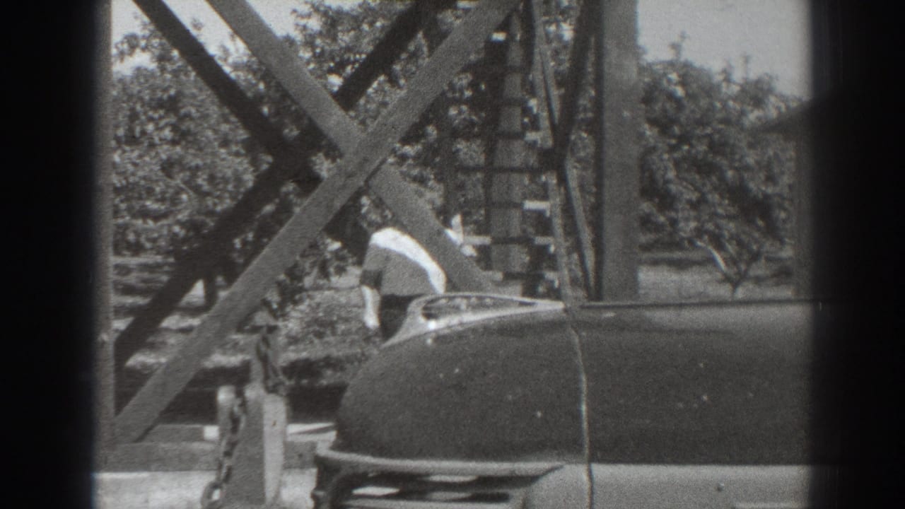 Woman bends or leans beside a car near wood supports and trees.