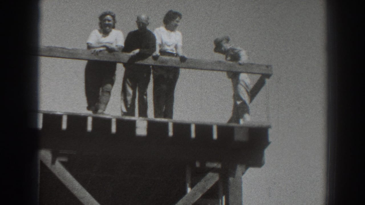 Four adults stand on a wooden overlook platform with a railing against open sky.