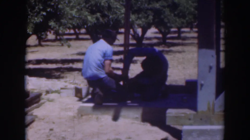 Two adult men in hats appear to steady or place a fence post on a sunny Sacramento ranch or orchard setting in 1937 footage.