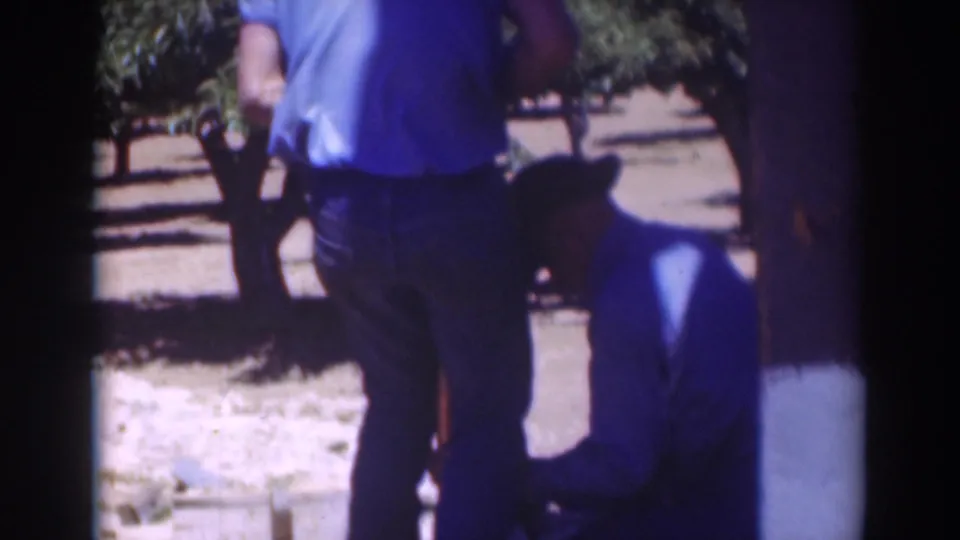 1937 Sacramento home-movie frame showing two men working outdoors in a sunny orchard-like area, one kneeling beside a wooden post.