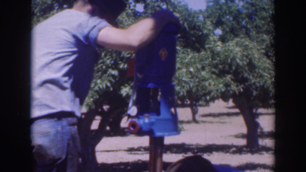 In a 1937 Sacramento home-movie frame, a man adjusts or handles a blue object mounted on a post among orchard trees.