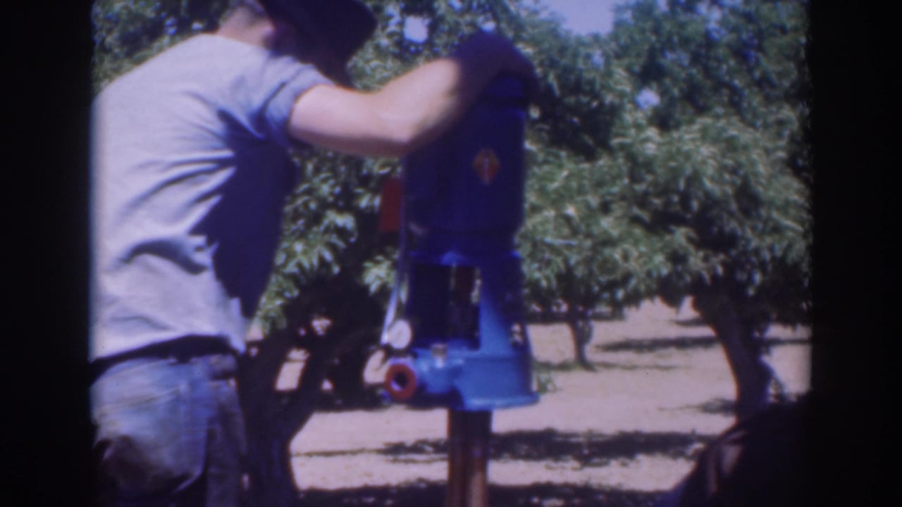 Man in a hat works at a blue pump in an orchard while another person stands nearby.
