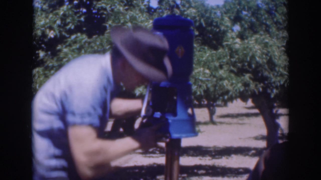 Man leans close to a blue pump mounted on a post in an orchard.