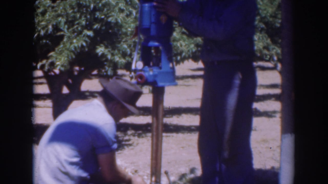 Man in a hat crouches beside a utility pole while another man stands nearby in an orchard.