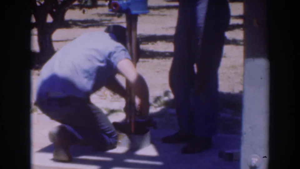 Near the end of the clip, the worker kneels by the pole footing in the 1937 Sacramento orchard as a second man stands next to him.