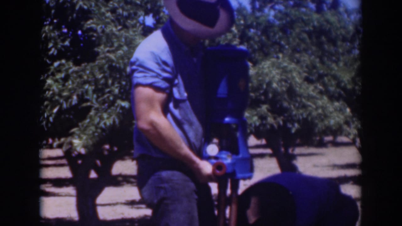 Two men work with a large upright tool in a sunny orchard.