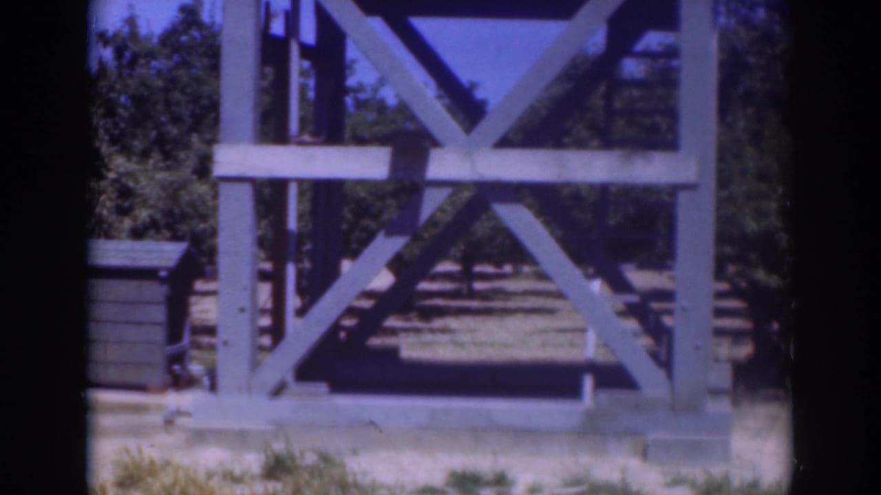 A pale wooden frame with cross bracing remains in view in the 1937 Sacramento outdoor scene.
