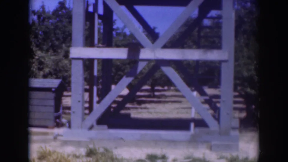 A pale wooden frame with cross bracing remains in view in the 1937 Sacramento outdoor scene.