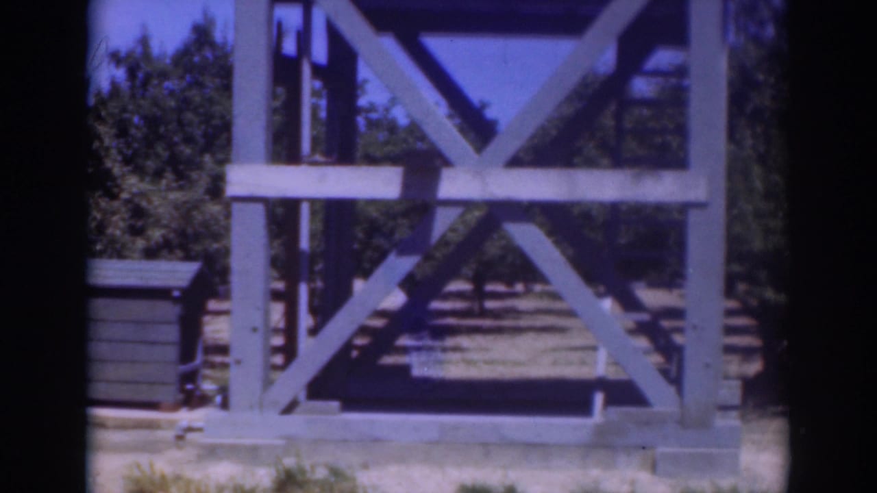 Wooden cross-braced tower with stairs, trees, dry grass, and a dark box at left.
