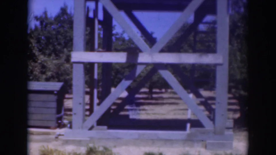 1937 Sacramento 8mm frame showing a painted wooden tower structure with cross bracing, stairs, trees, and sunlit ground.