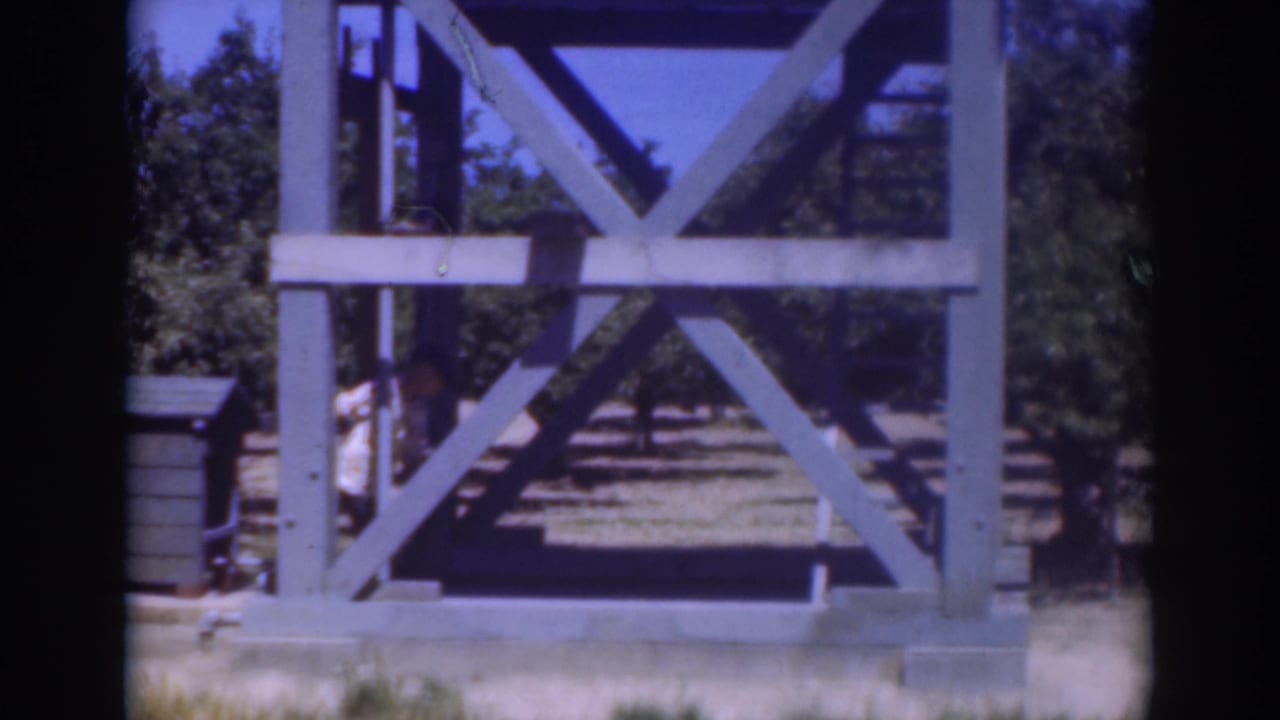 A man is partly visible beside the wooden tower in this 1937 Sacramento home-movie frame, with stairs and trees behind the structure.