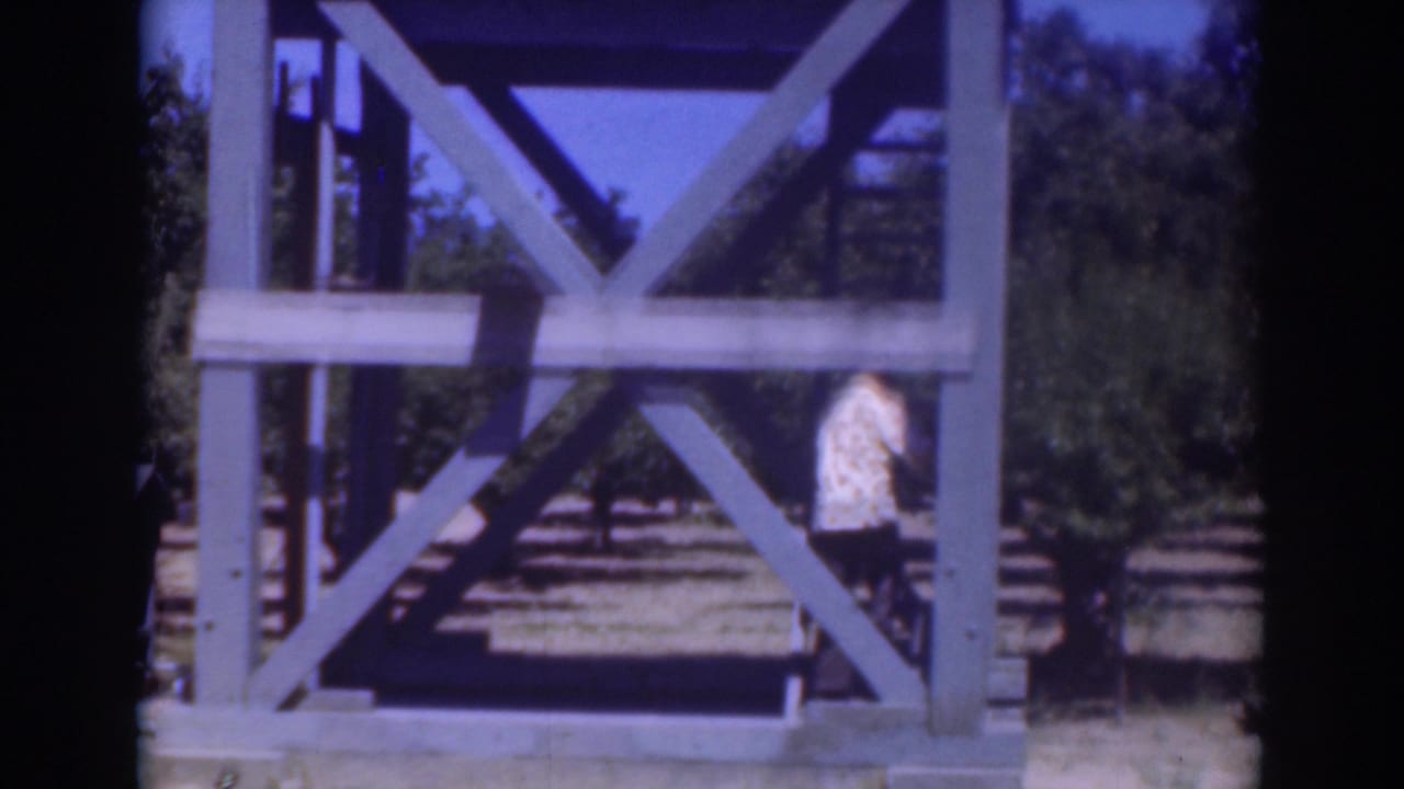 1937 Sacramento home-movie frame showing a man in a light shirt partly obscured by a blue wooden tower and trees.