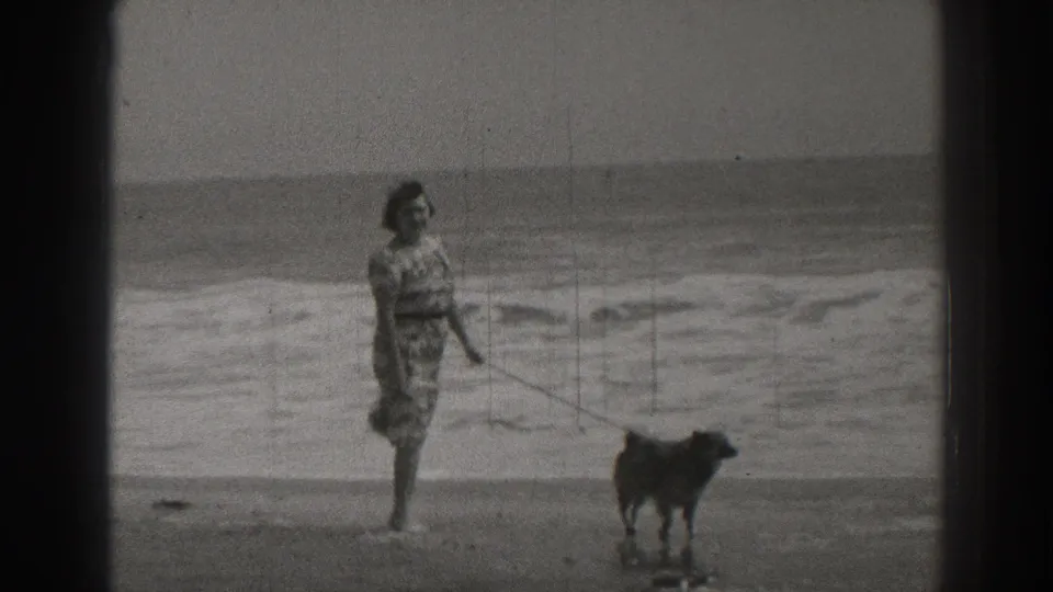 A woman in a patterned dress holds the leash as the small dog stands on the Santa Cruz shoreline with surf in the background.