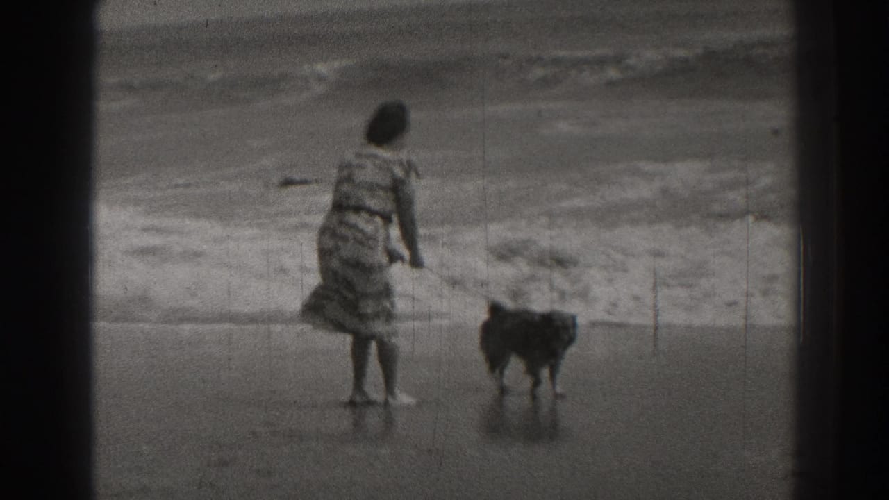 Woman in a patterned dress stands on wet sand with a small dog near the surf.