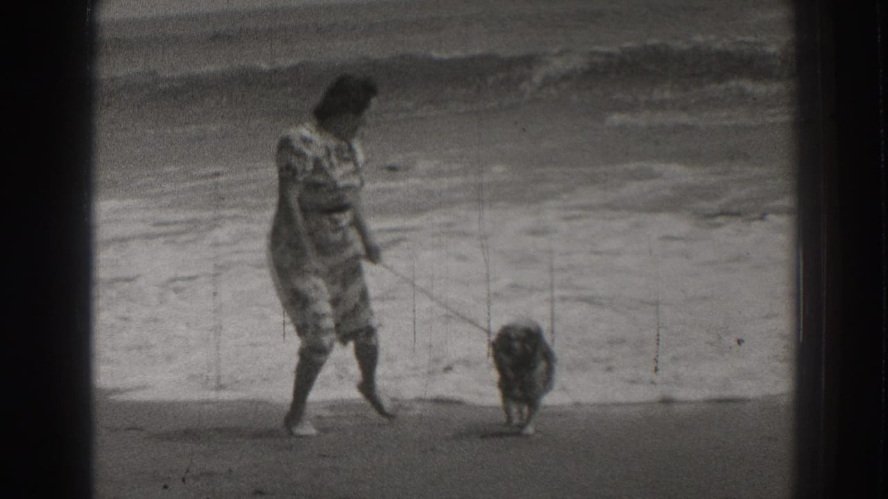 Woman walks a small dog on a leash along the beach with waves behind her.