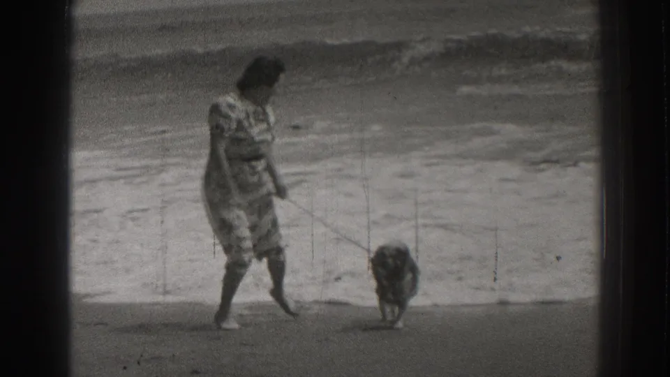 A woman walks her leashed dog along the Santa Cruz shoreline, with surf rolling in behind them in grainy 8mm footage.