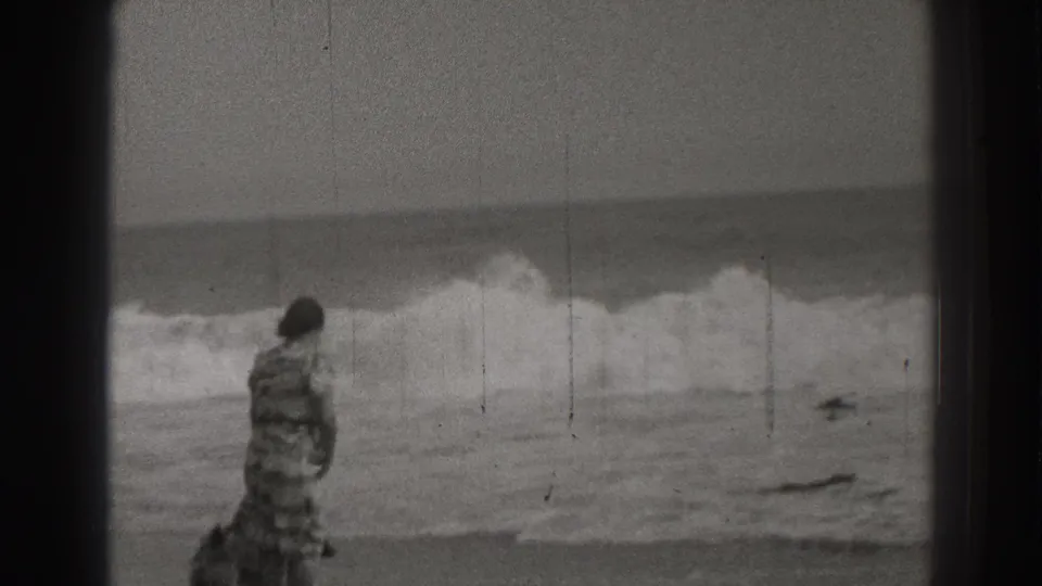 The woman and dog are seen from behind near the Santa Cruz surf, with a breaking wave filling the background of the frame.